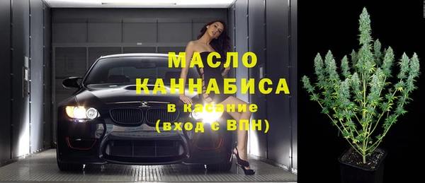 мдпв Горнозаводск