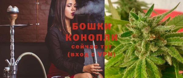 прущая мука Горняк